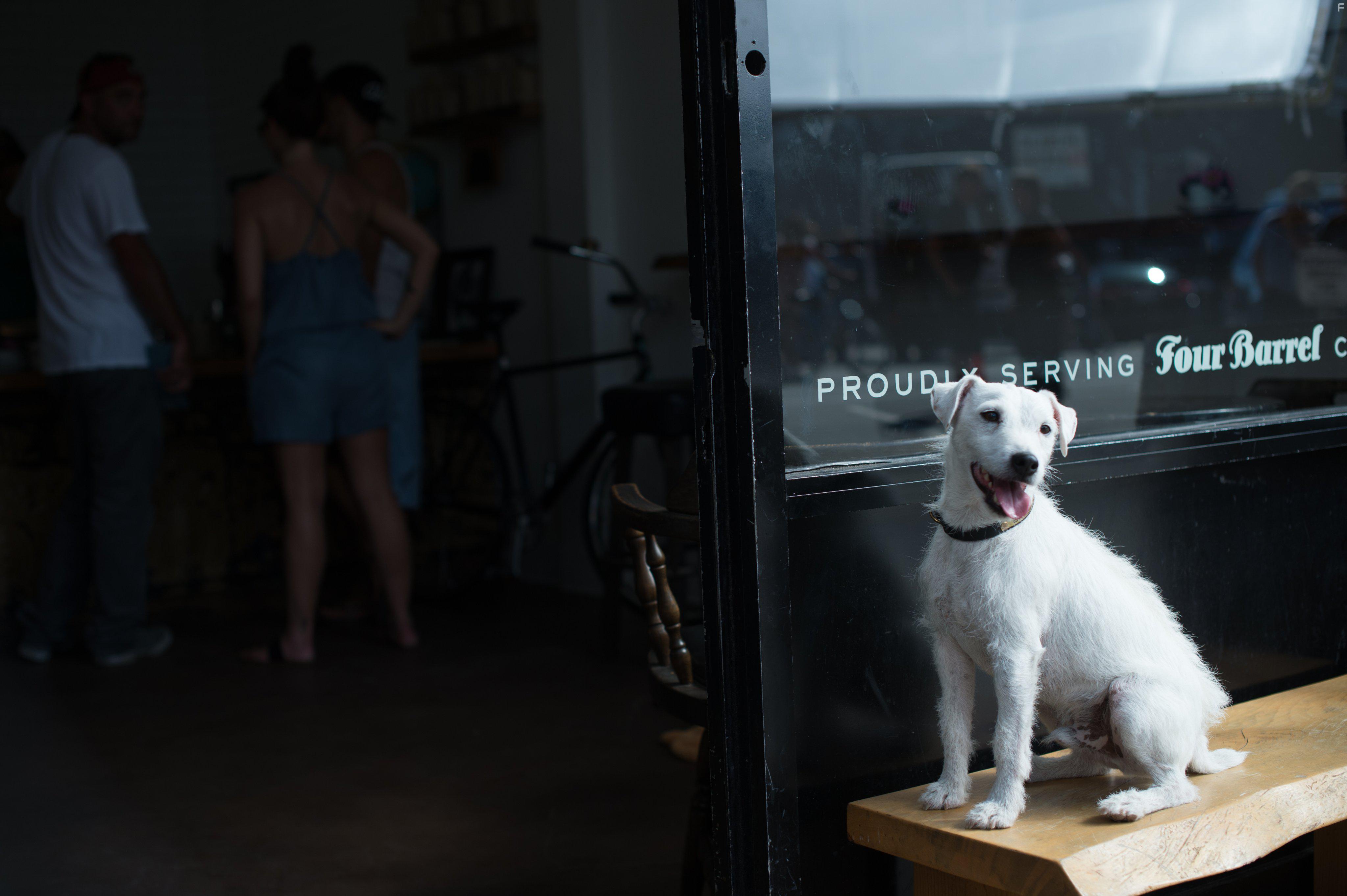 Once Upon a Time in Venice (2017)