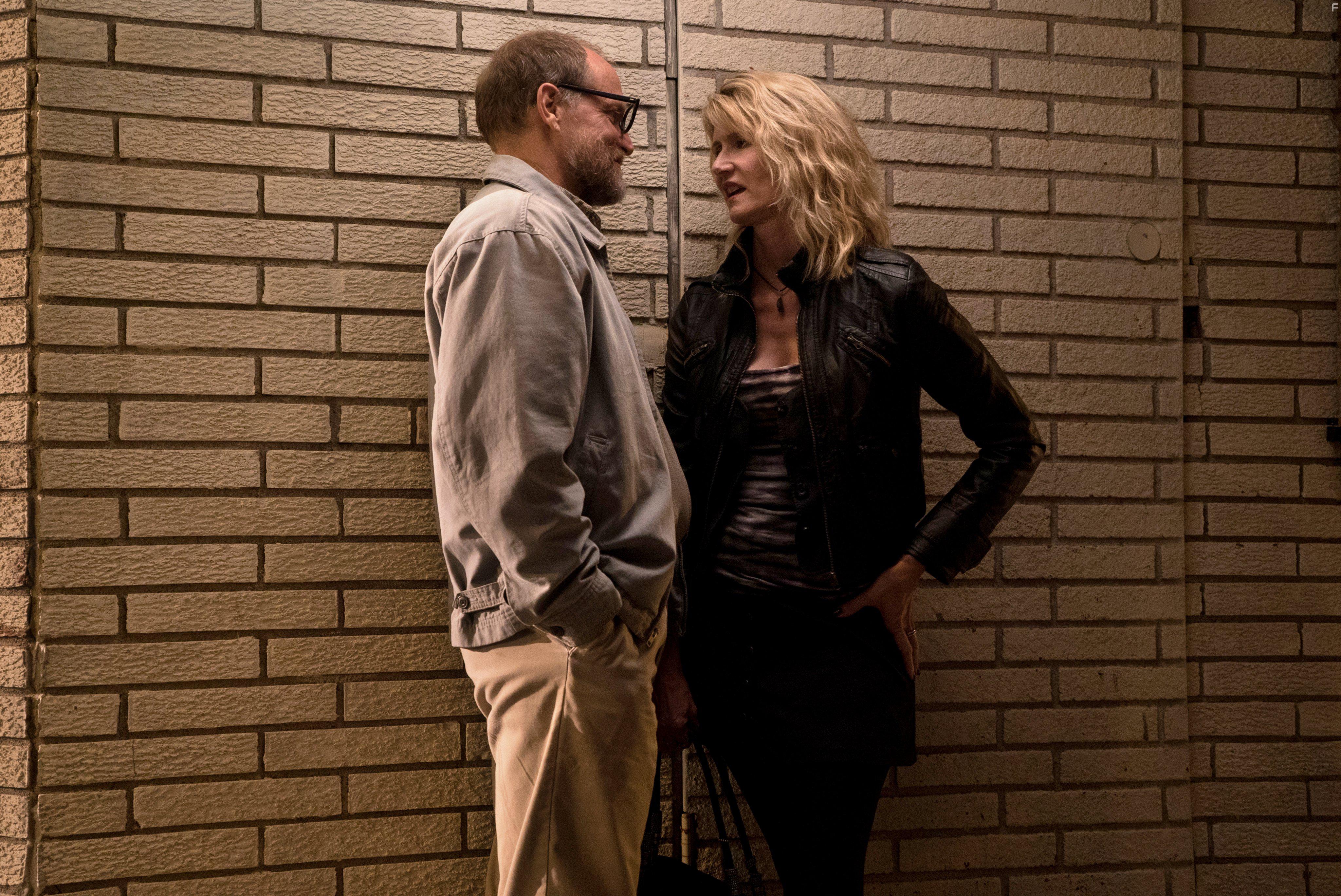 Laura Dern and Woody Harrelson in Wilson (2017)
