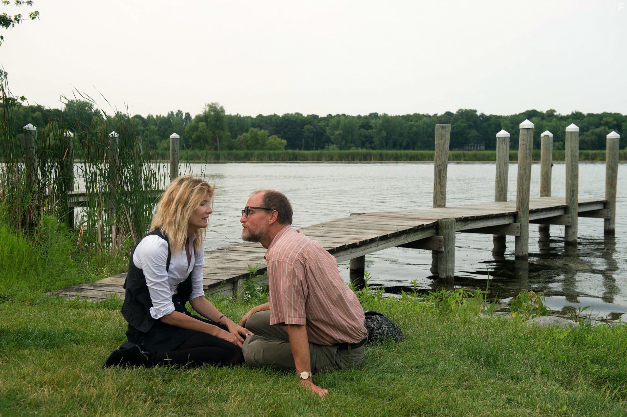 Laura Dern and Woody Harrelson in Wilson (2017)