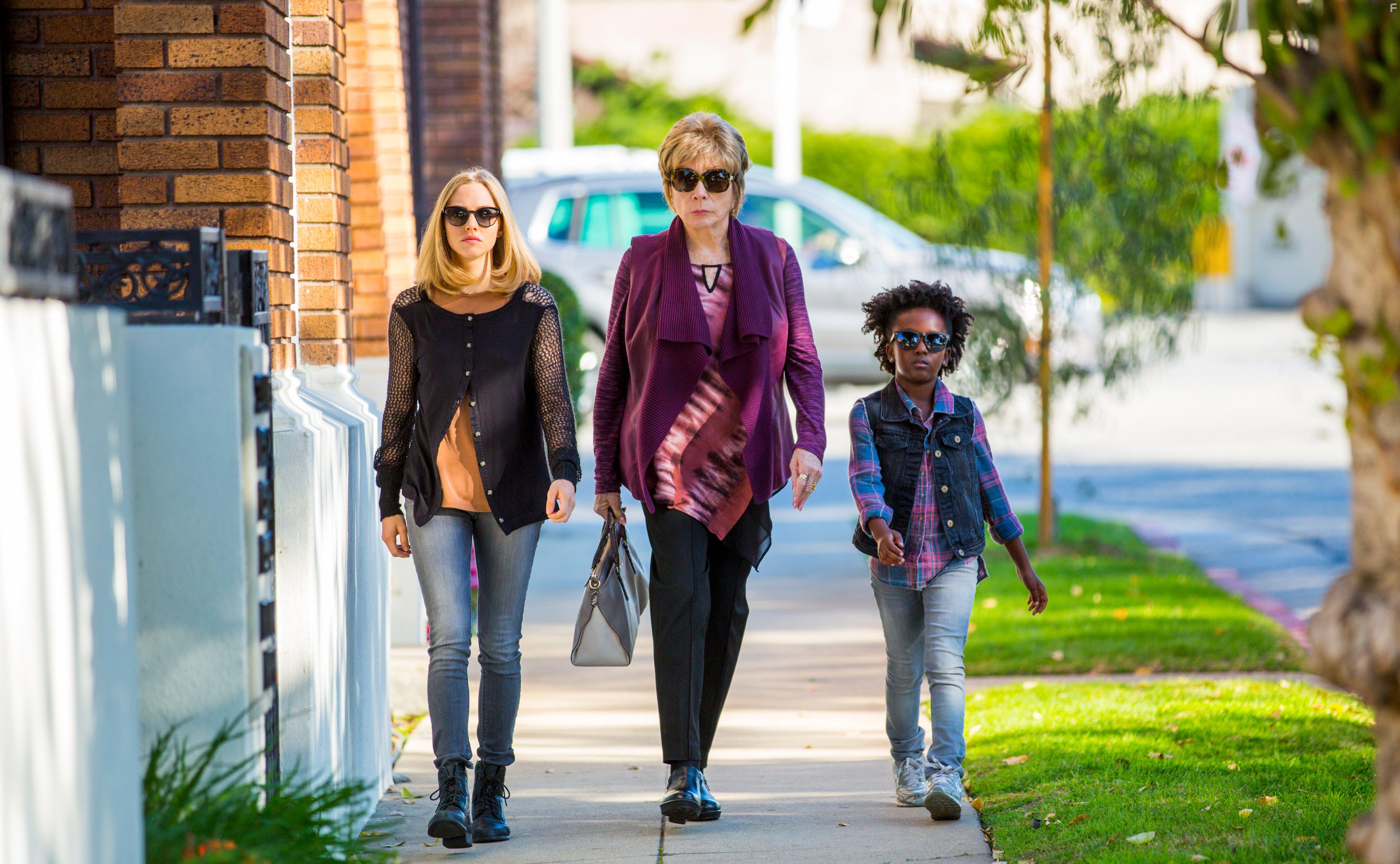 Shirley MacLaine, Amanda Seyfried, and AnnJewel Lee Dixon in The Last Word (2017)