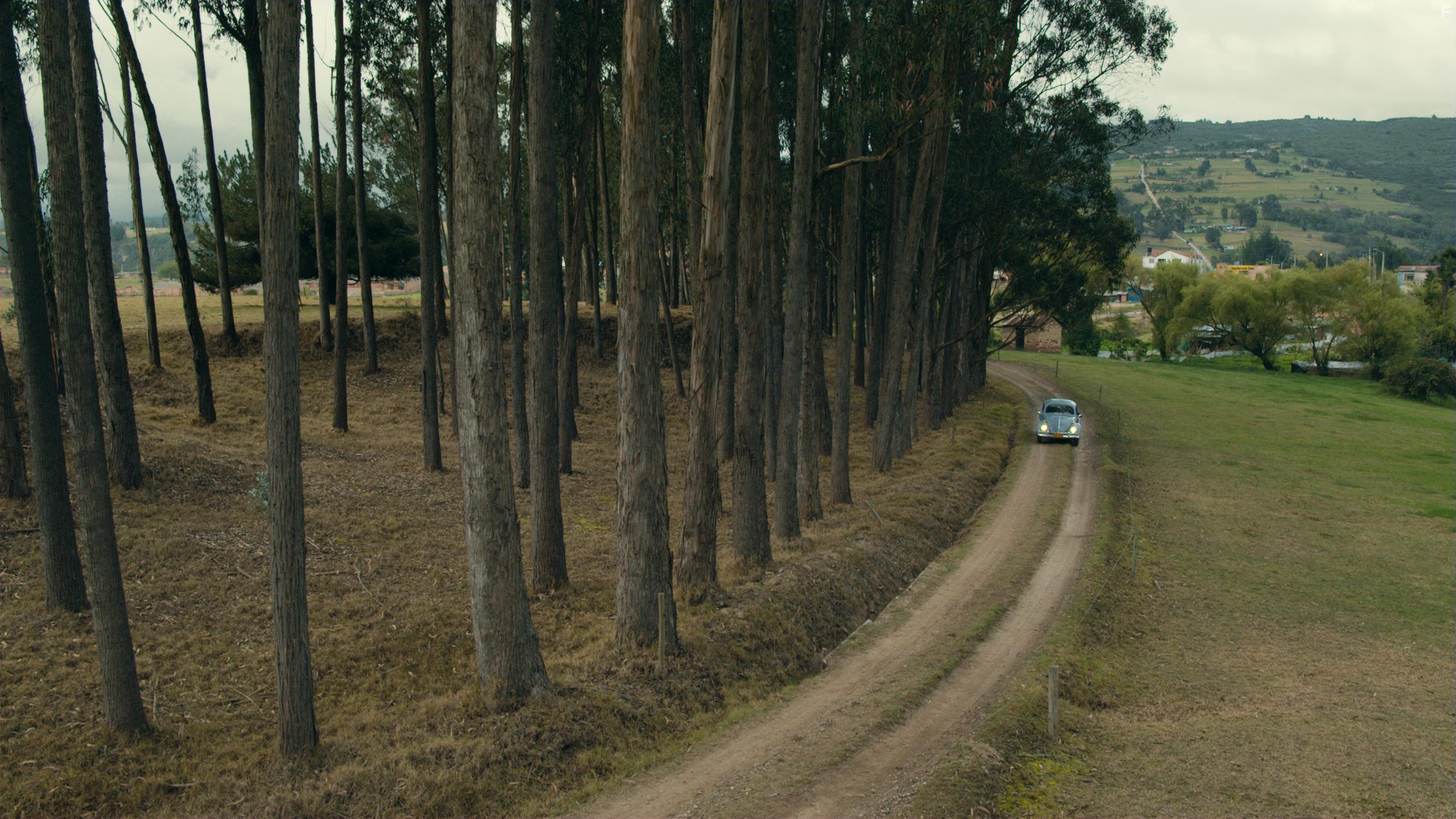 Фрагменты Любви