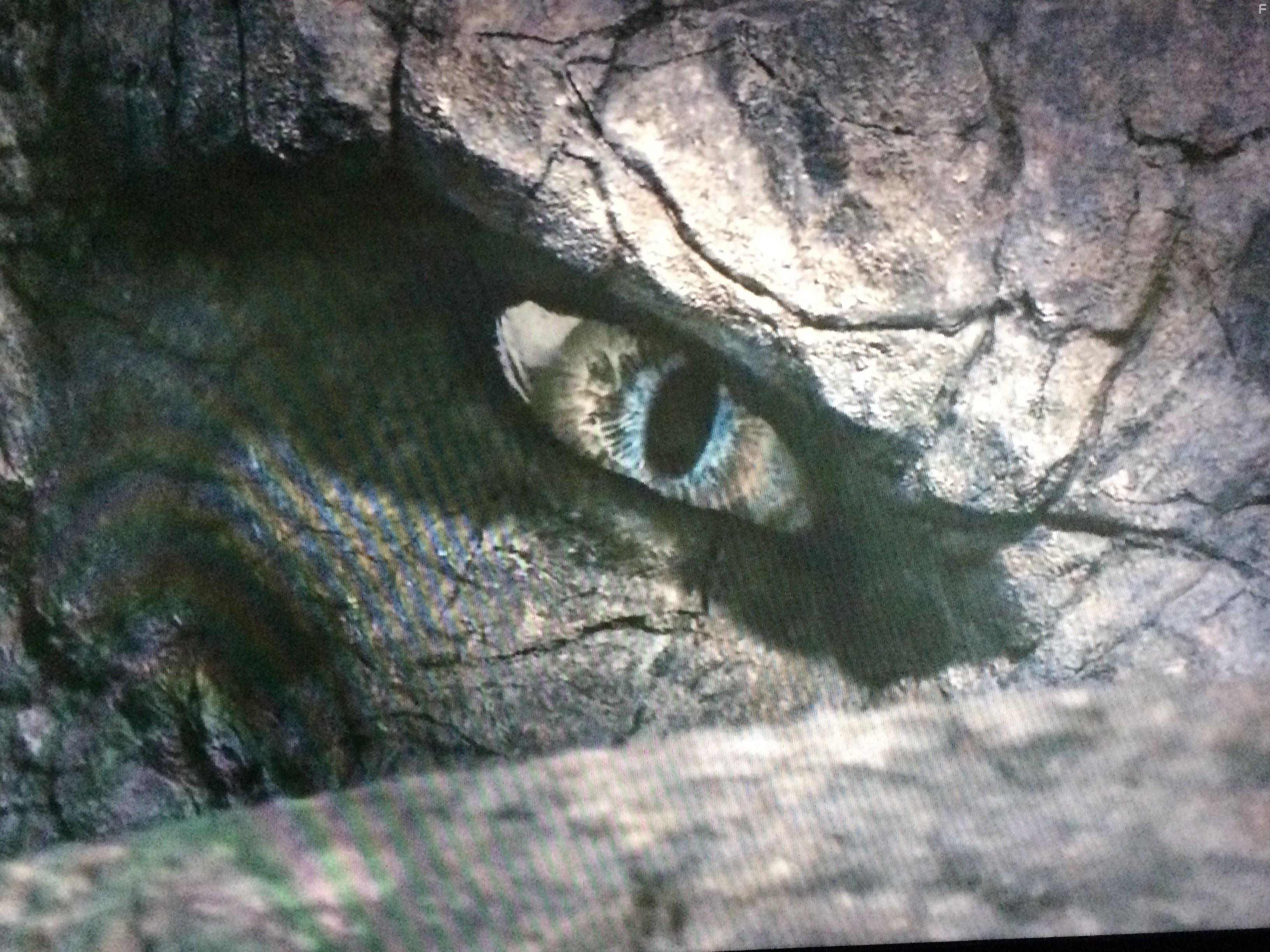 Сердце дракона 4