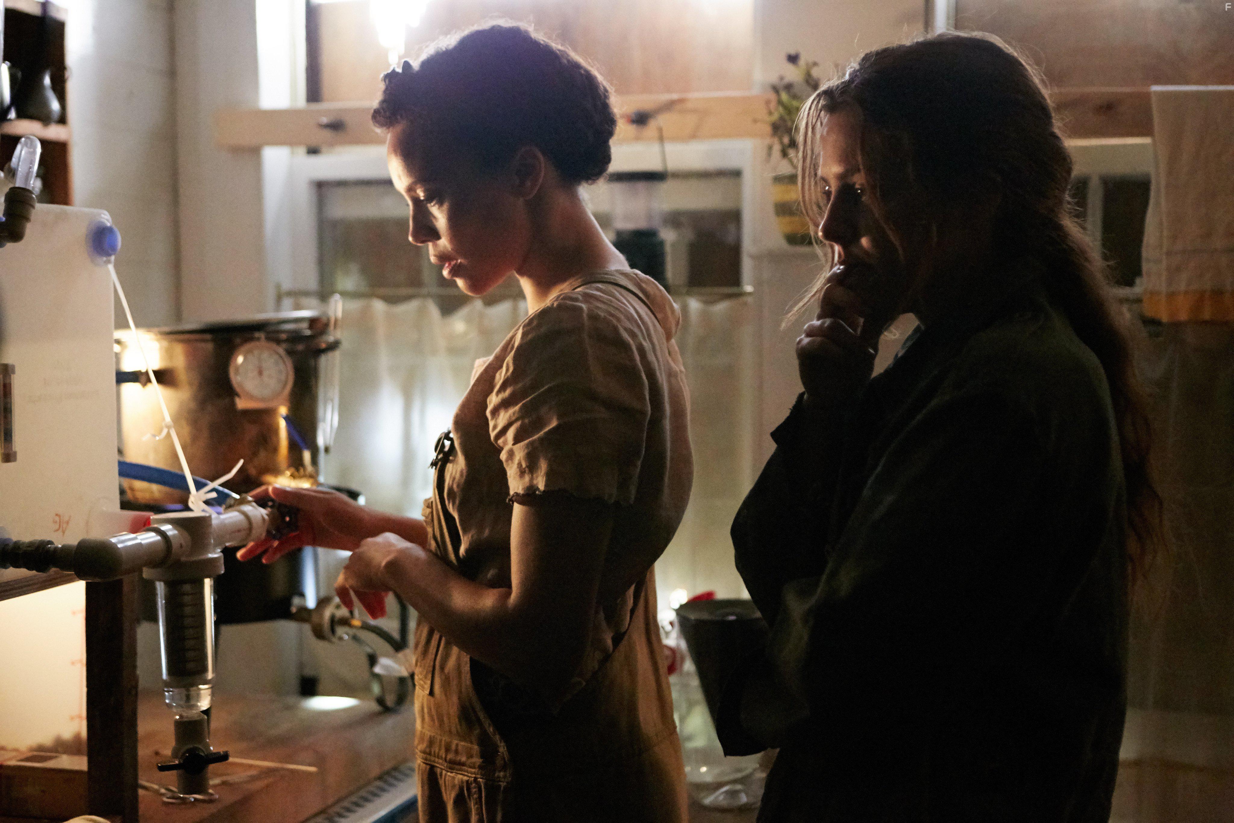 Carmen Ejogo and Riley Keough in It Comes at Night (2017)