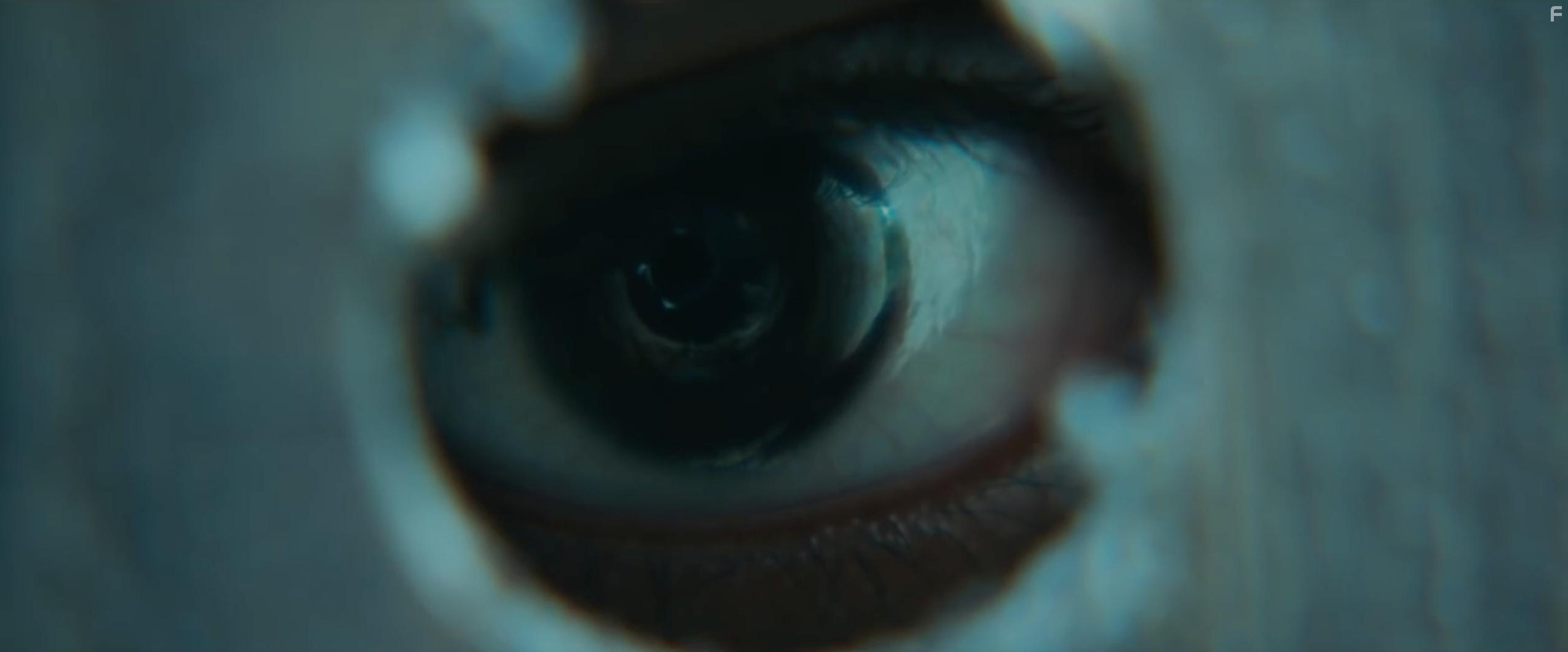 It Comes at Night (2017)