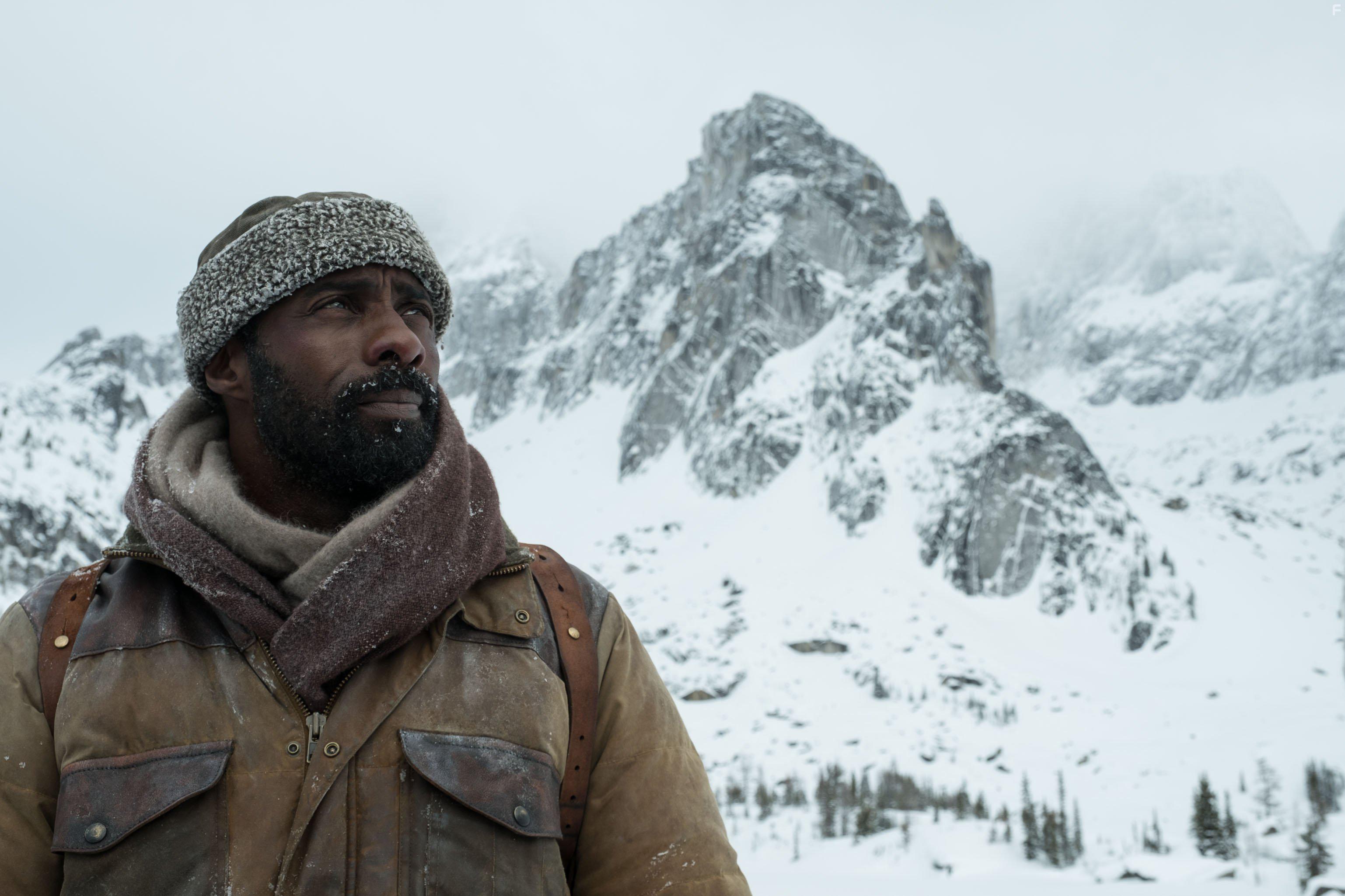 Idris Elba in The Mountain Between Us (2017)