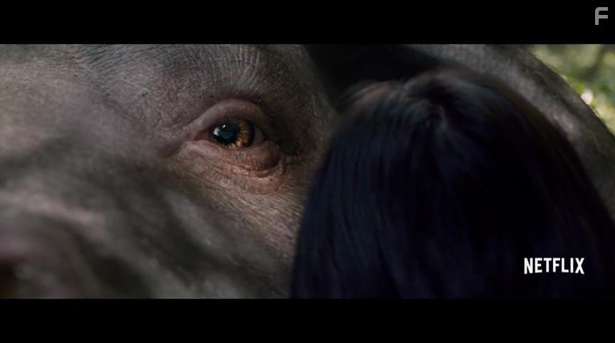 Okja (2017)