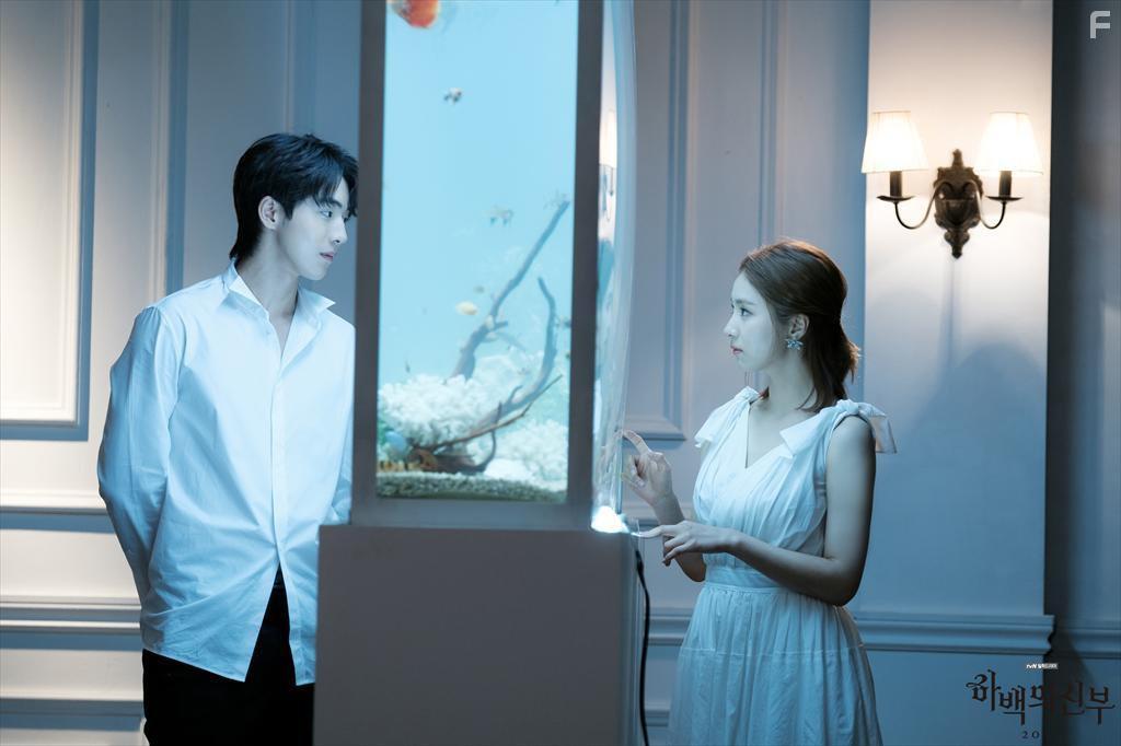 Habaekui Shinboo (2017)