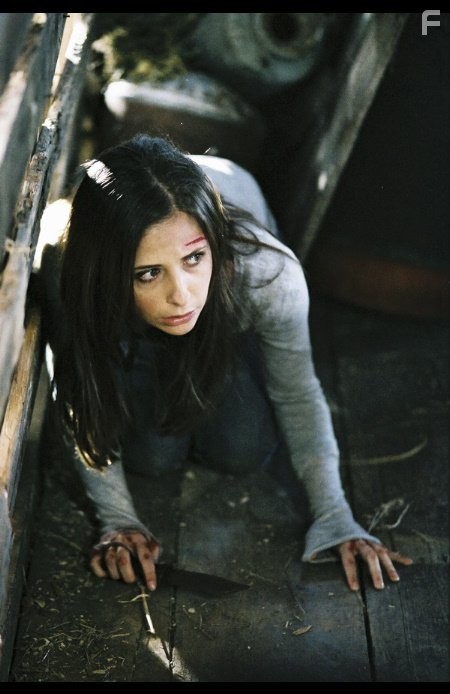 Sarah Michelle Gellar in Месть (2006)