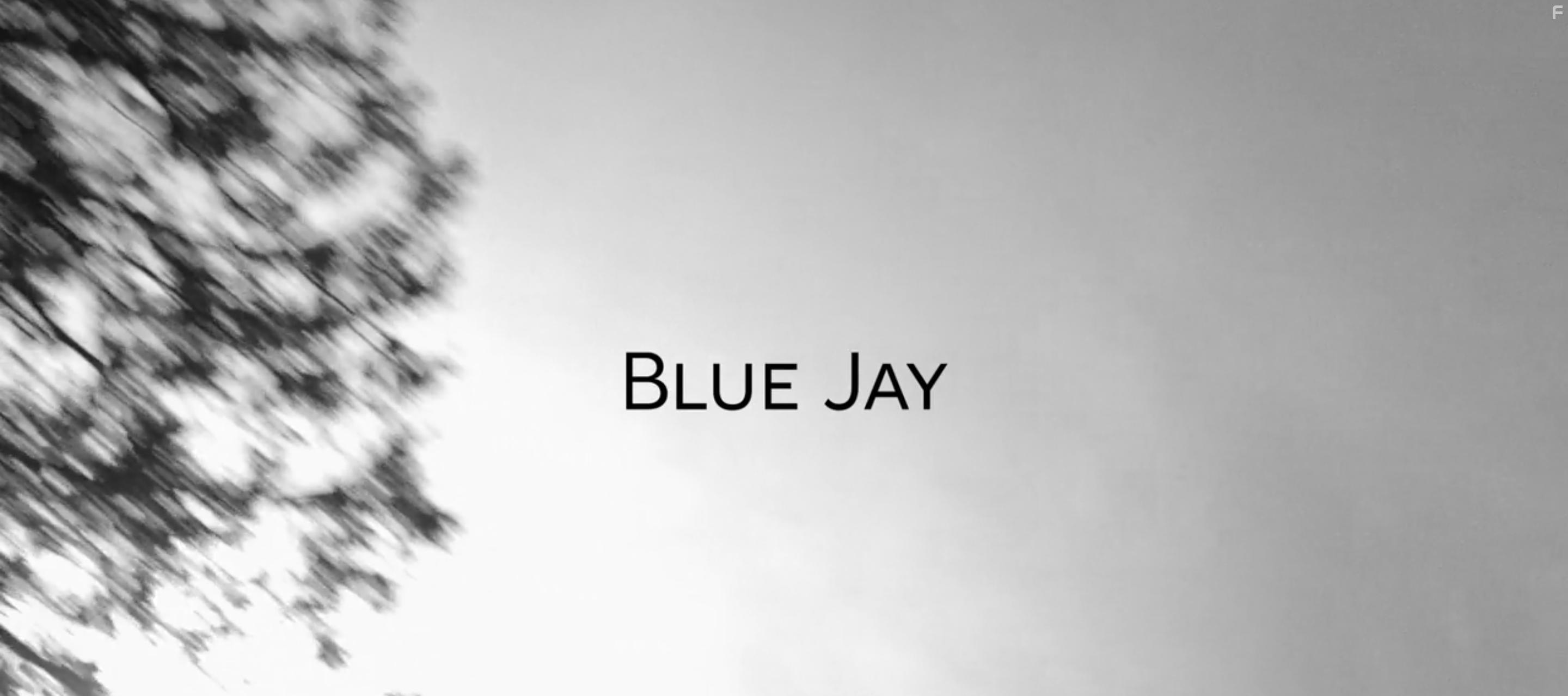Blue Jay (2016)