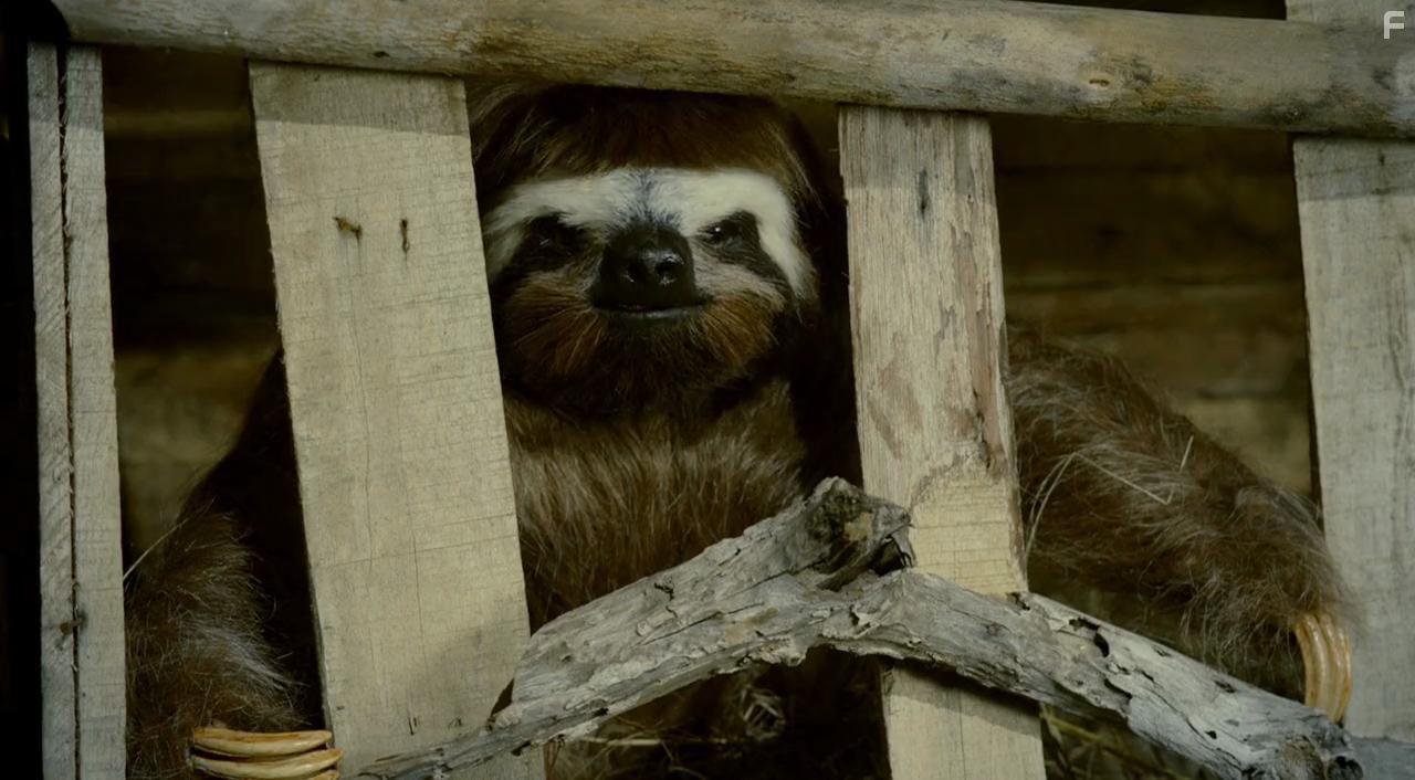 Lea to the Rescue (2016)