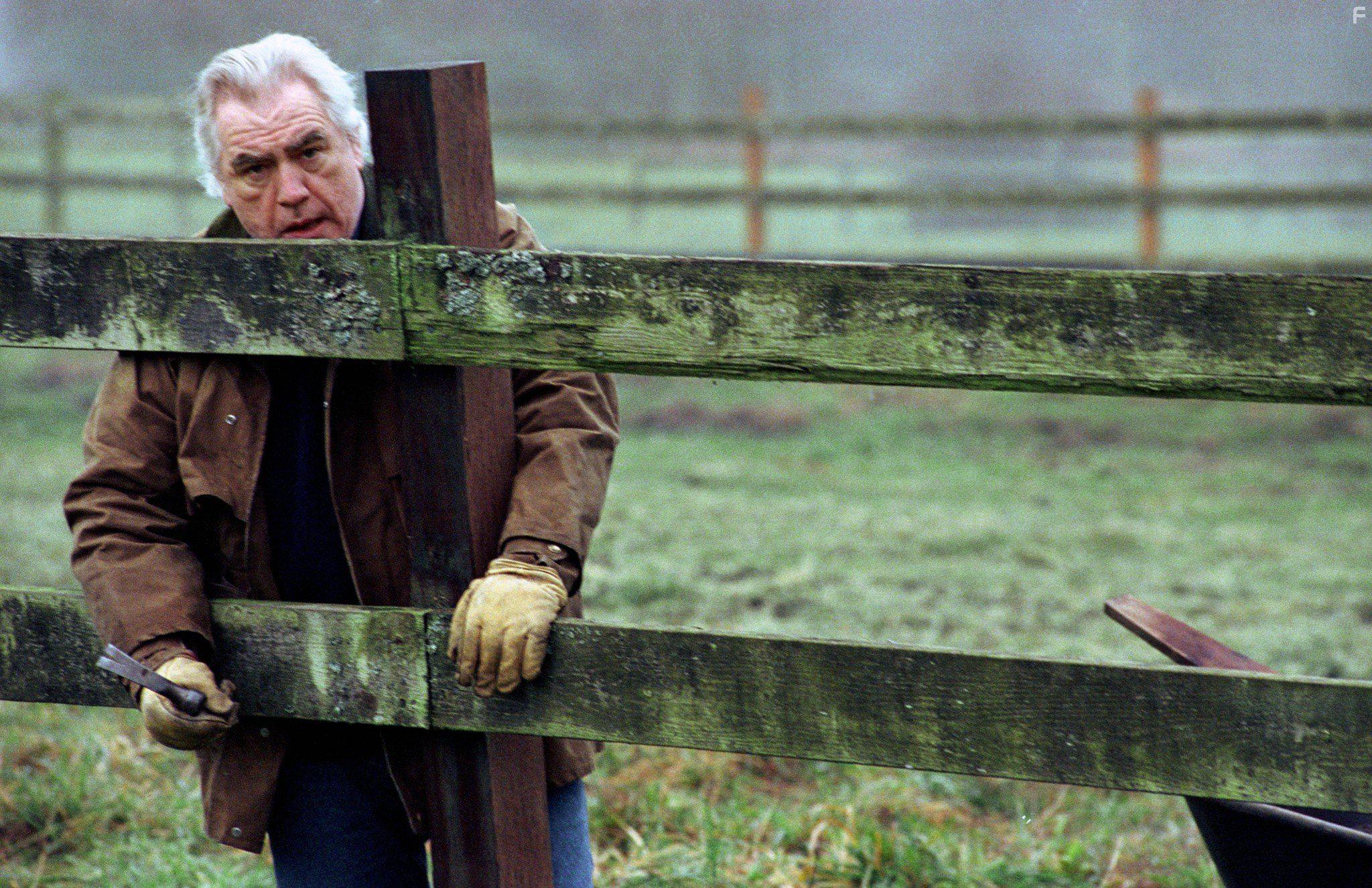 Brian Cox in The Ring (2002)