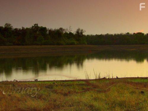 Secrets of Wild India (2012)