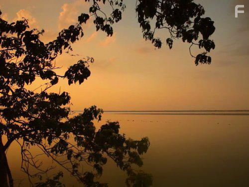 Secrets of Wild India (2012)