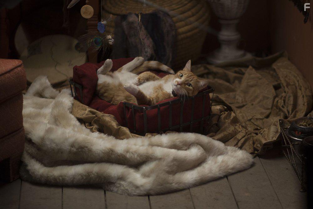 Midnight, Texas (2016)