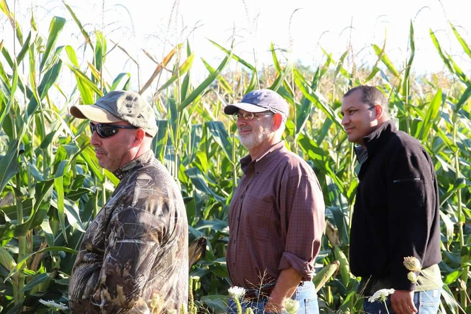 Танцы на лошади #1