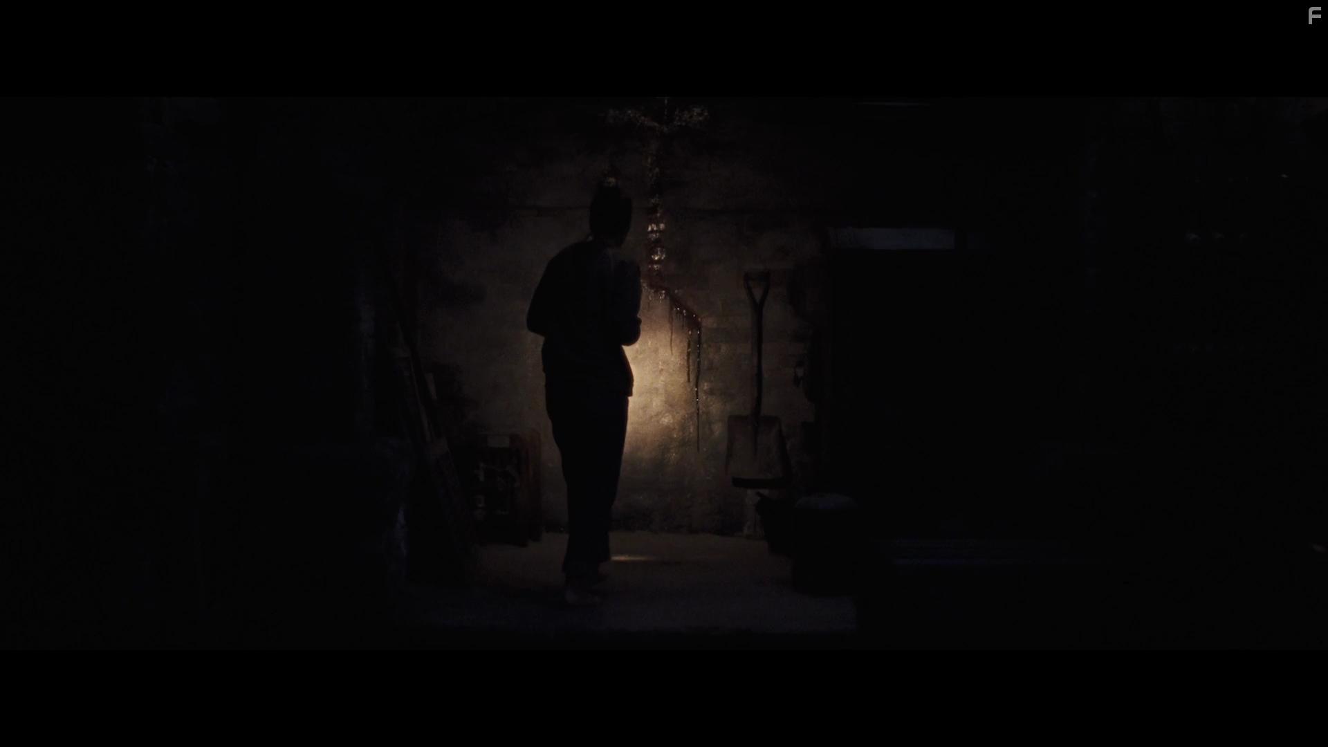 Jennifer Lawrence in Mother! (2017)