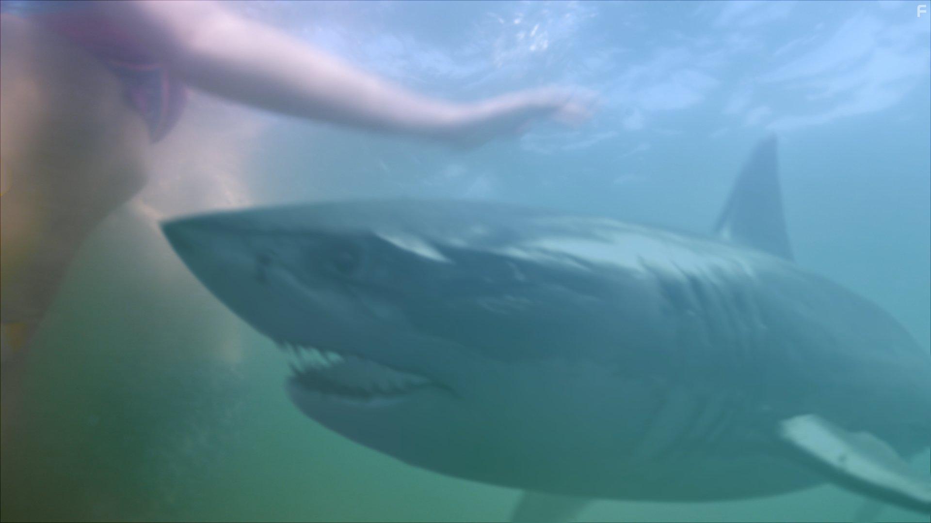 Saxon Sharbino in Hunter's Cove (2017)