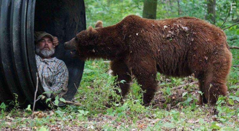 Project Grizzly (2016)