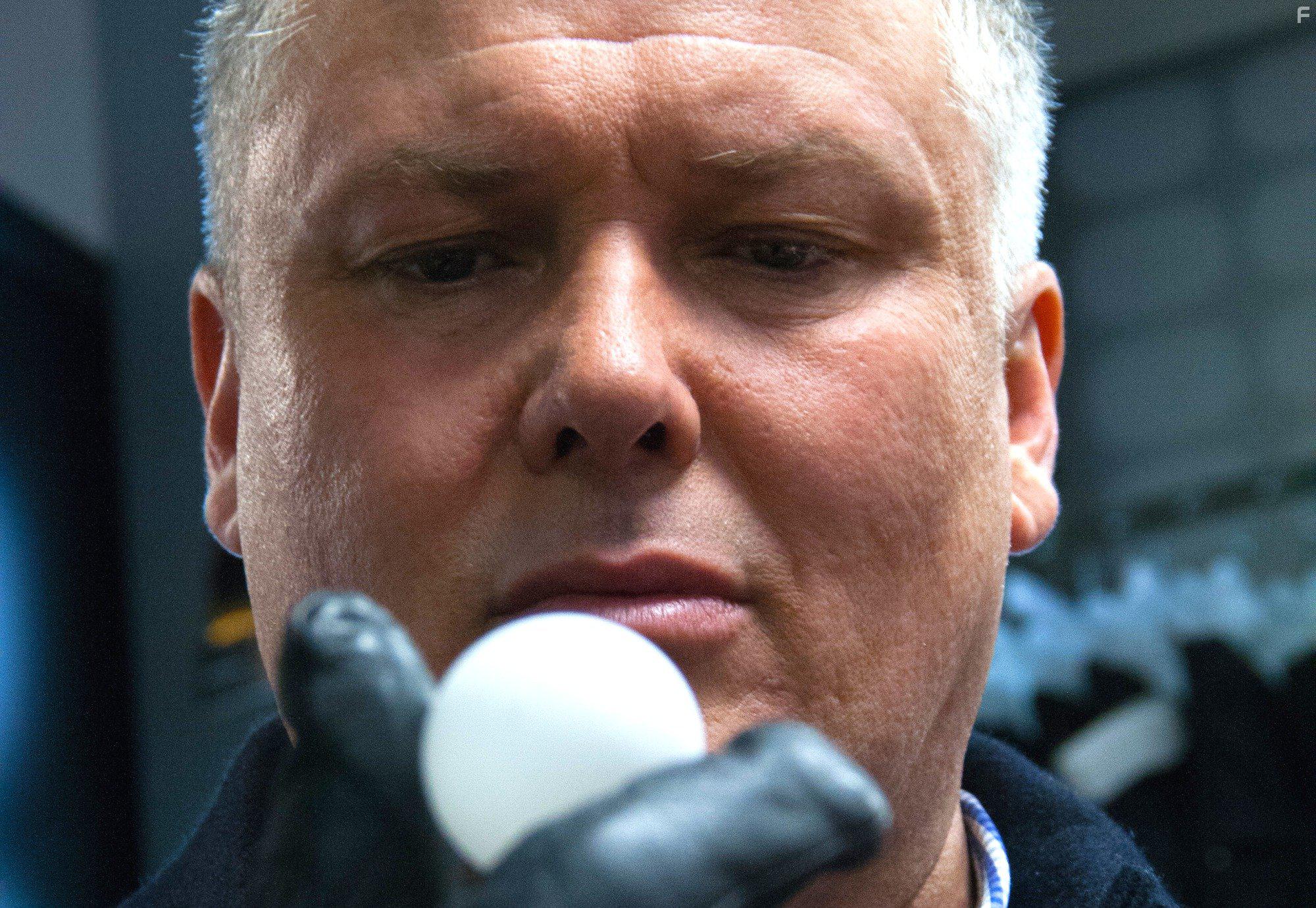 A Patch of Fog (2015)