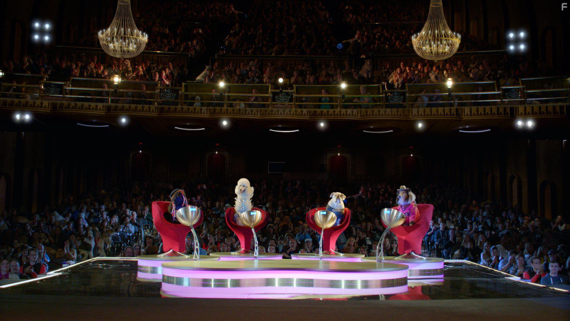 Ziggy Marley, Steve Valentine, Nikki Blonsky, and Matt Weber in Pup Star (2016)