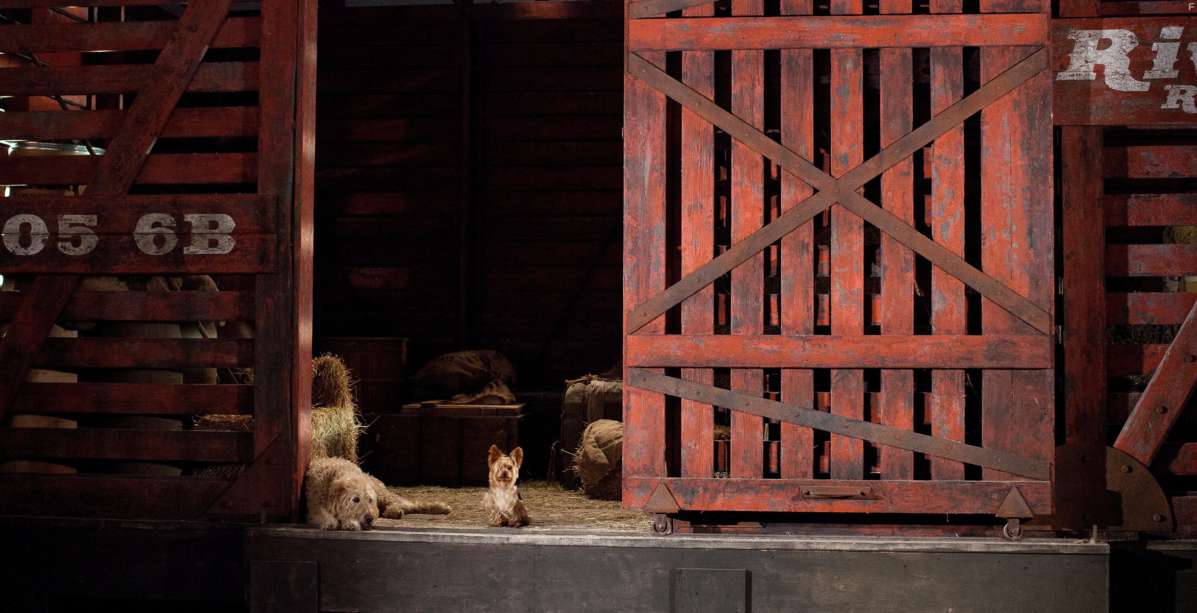 Tom Everett Scott and Kaitlyn Maher in Pup Star (2016)