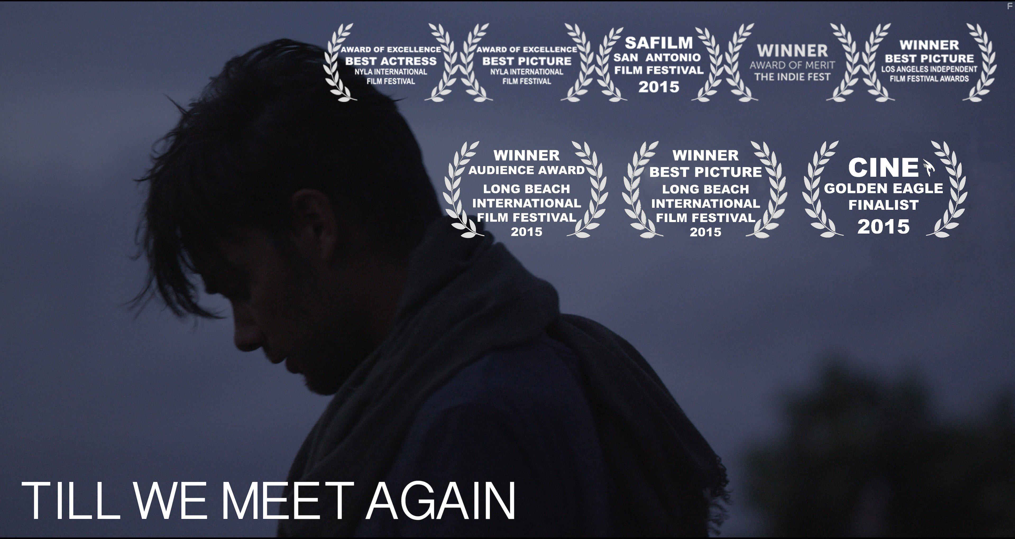 Till We Meet Again (2016)
