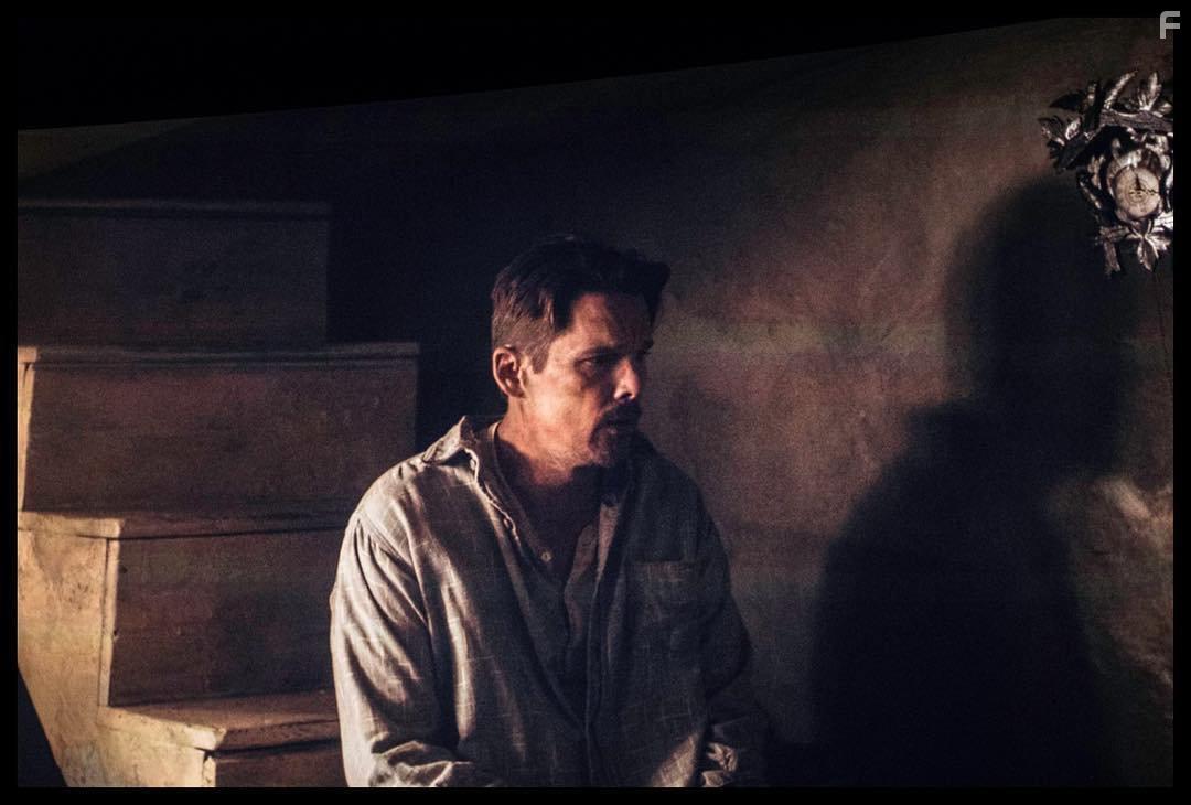 Ethan Hawke in Maudie (2016)