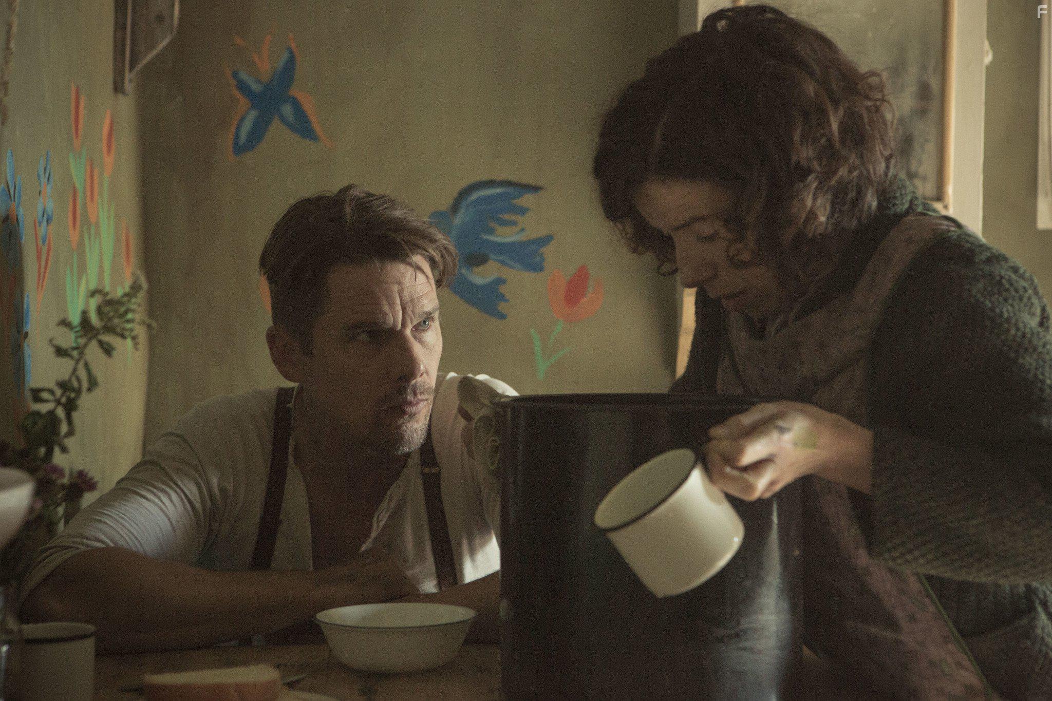 Ethan Hawke and Sally Hawkins in Maudie (2016)