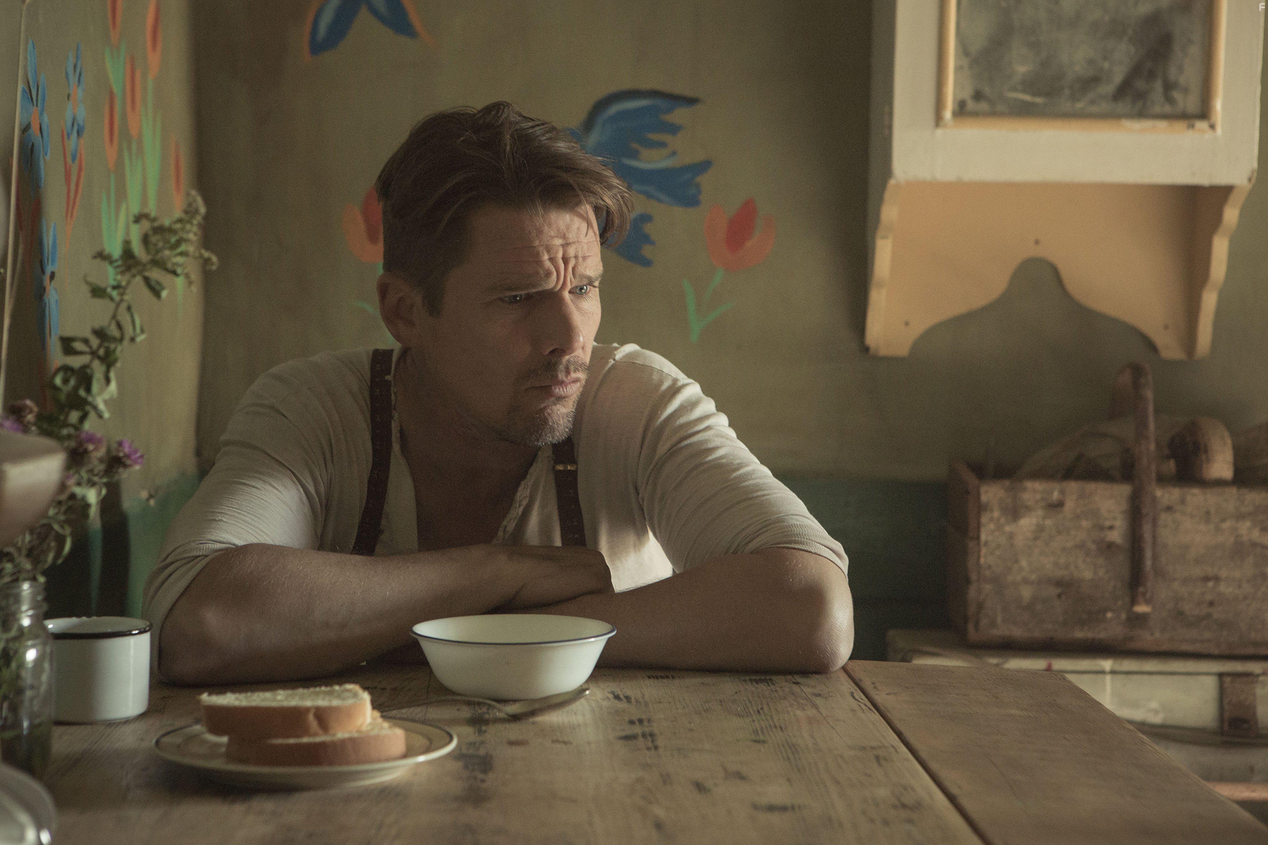 Ethan Hawke in Maudie (2016)