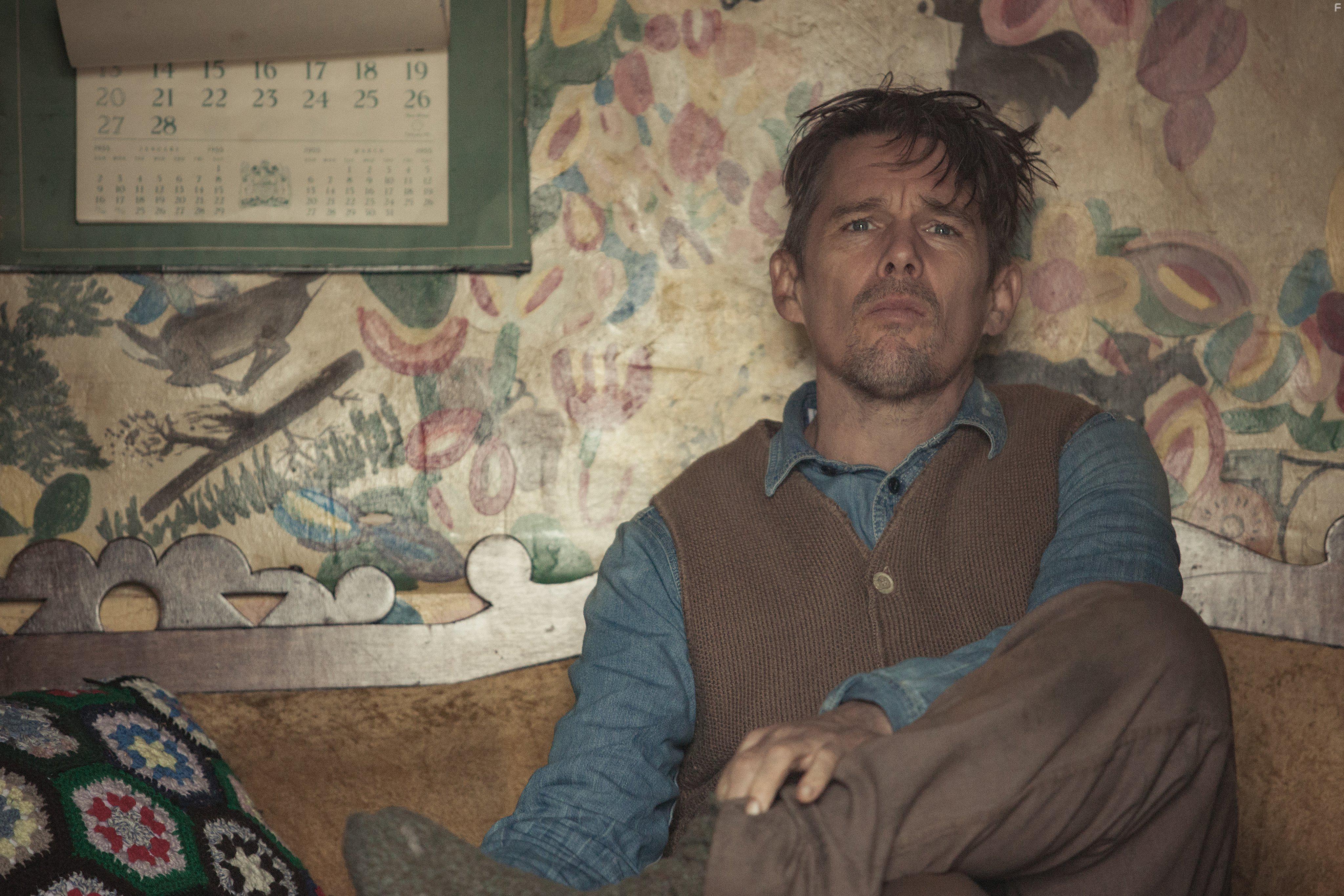 Ethan Hawke in Maudie (2016)