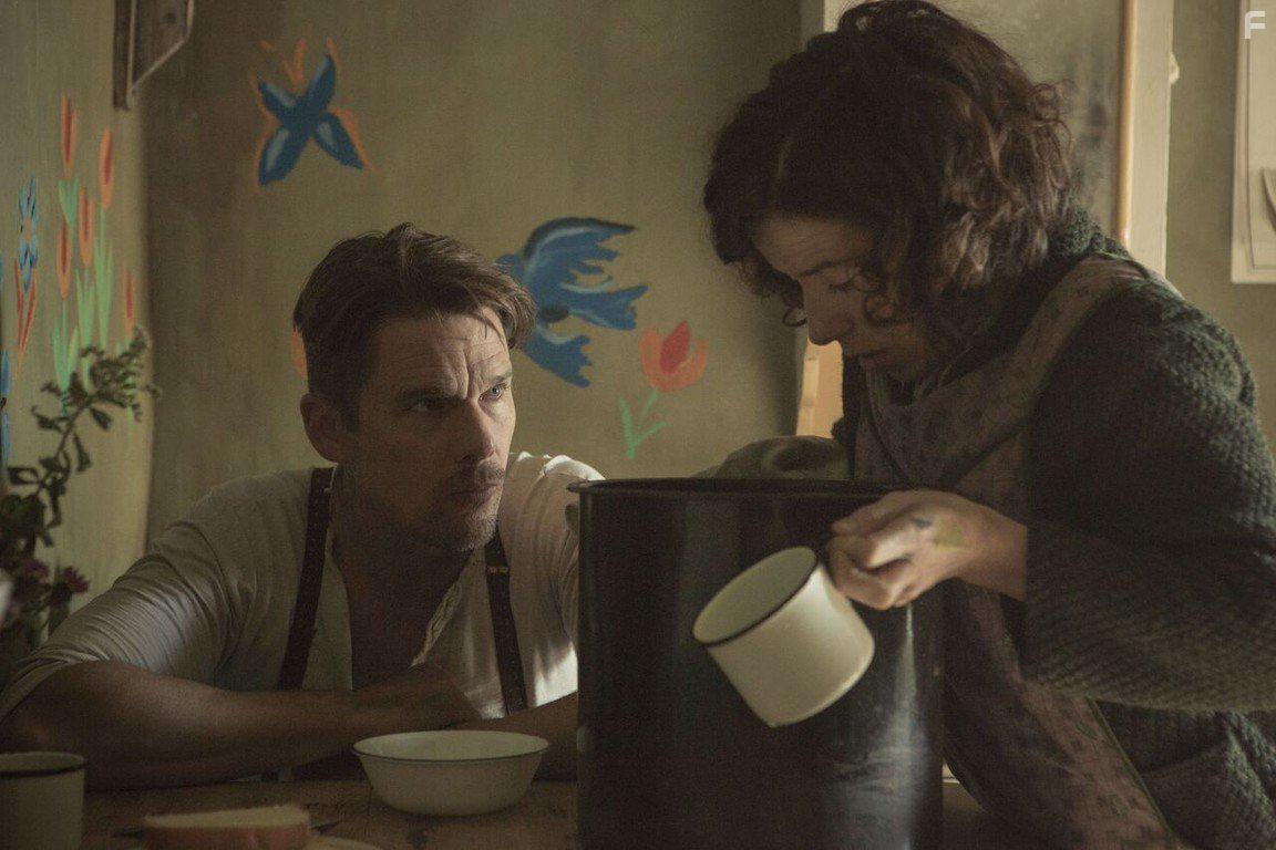 Ethan Hawke and Sally Hawkins in Maudie (2016)
