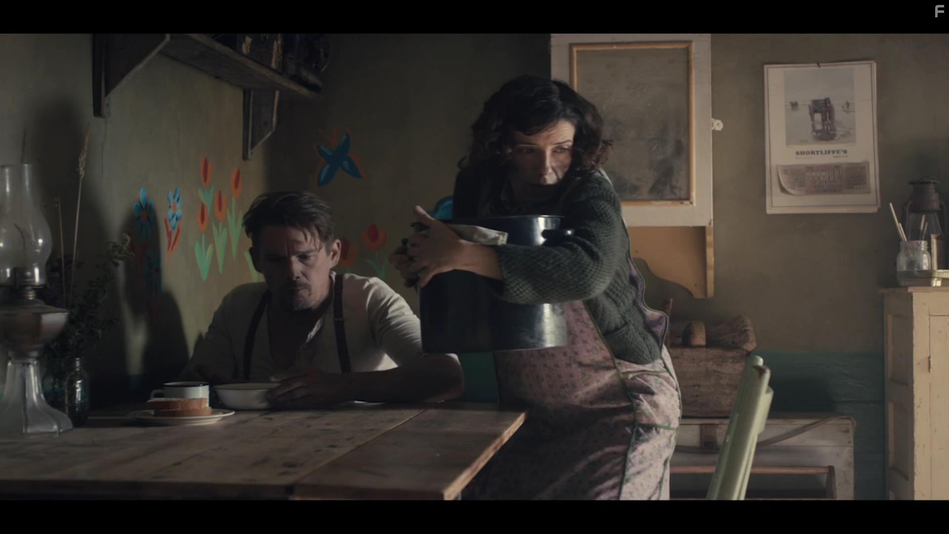 Ethan Hawke and Sally Hawkins in Maudie (2016)