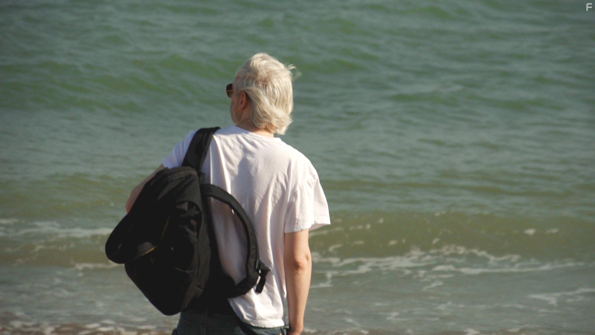 Julian Assange in Risk (2016)