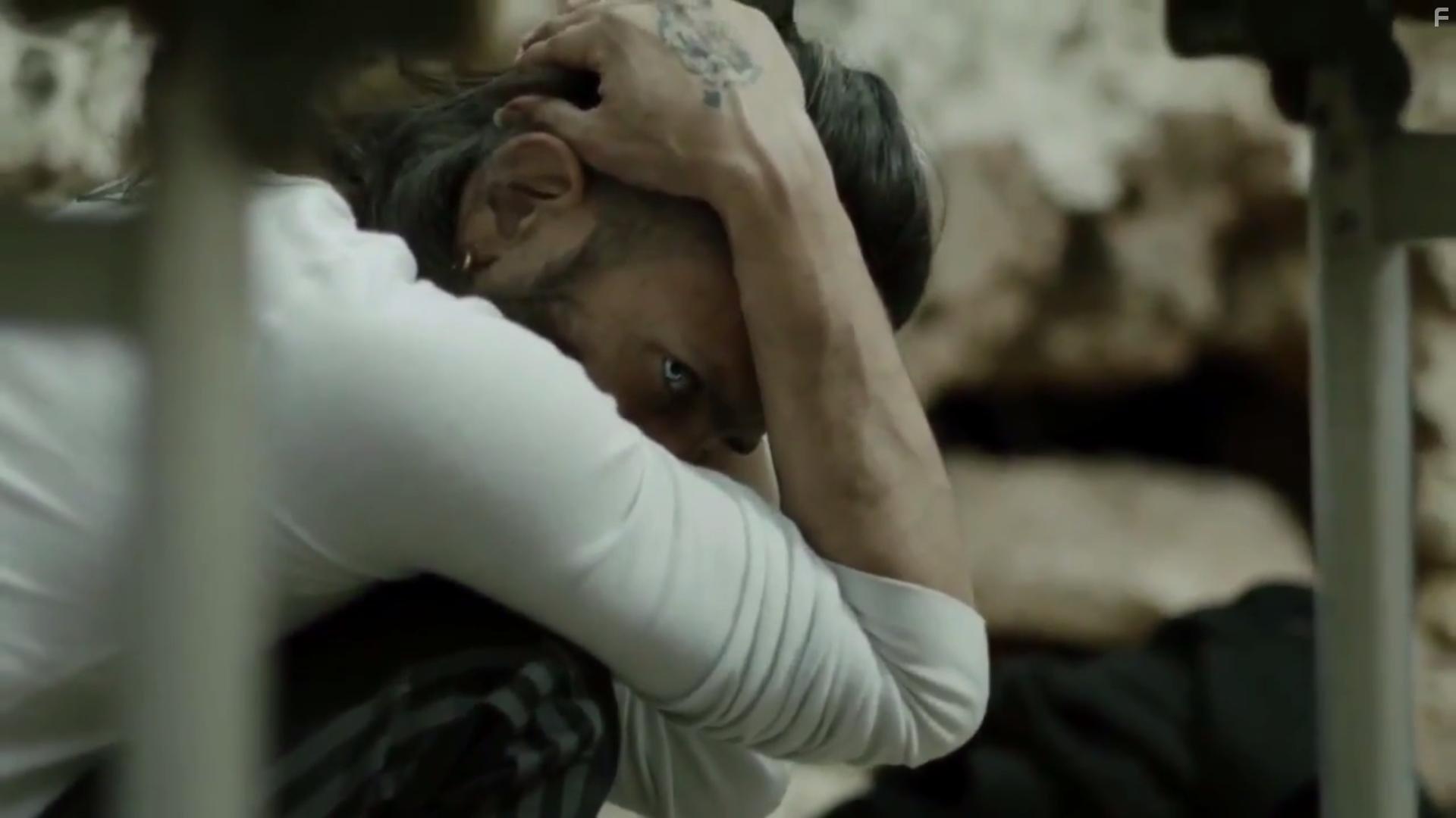 Tzion Baruch in Juda (2017)