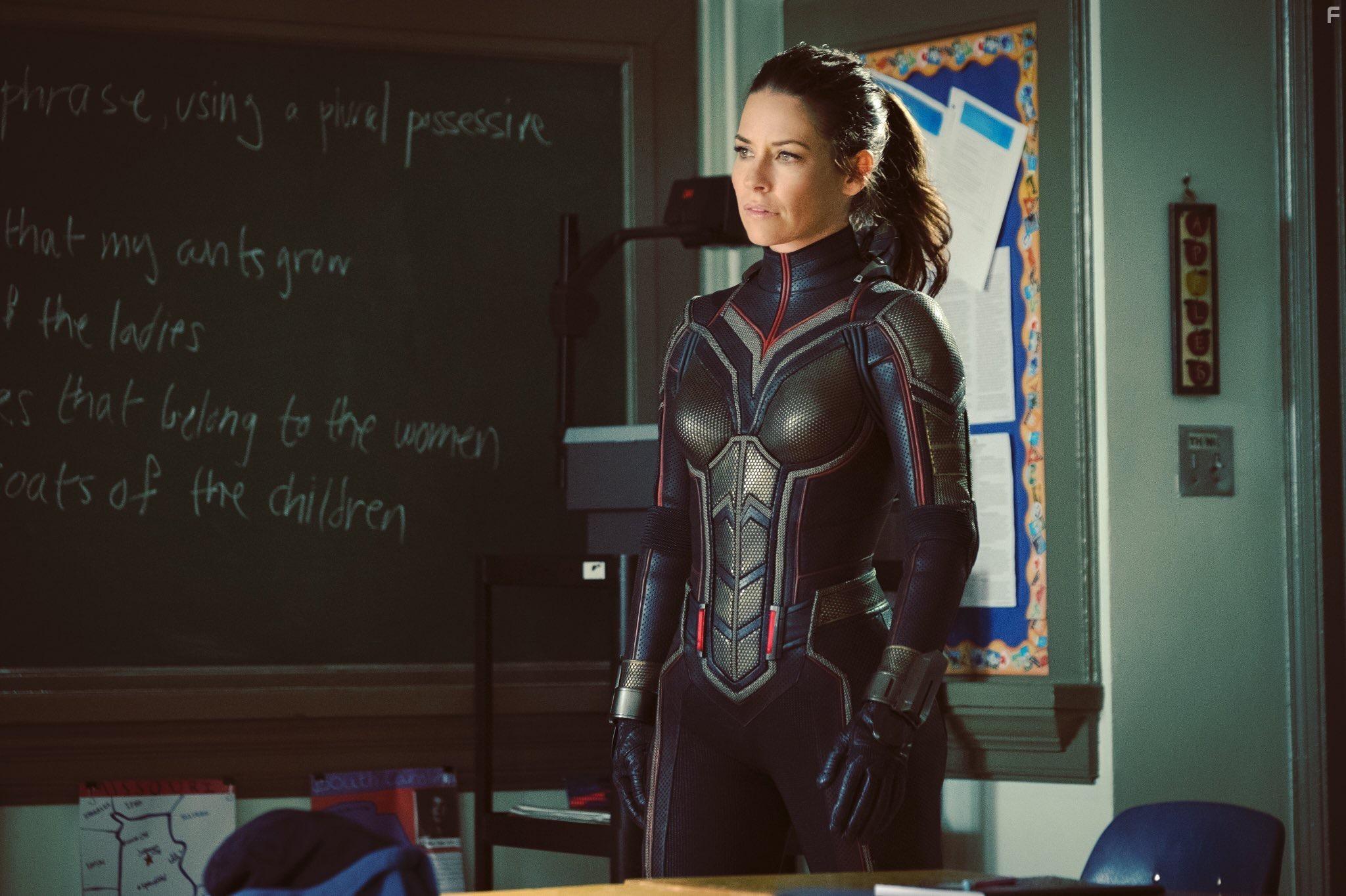 Evangeline Lilly in Ant-Man and the Wasp (2018)