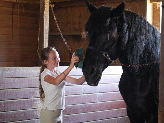 Мой лучший друг