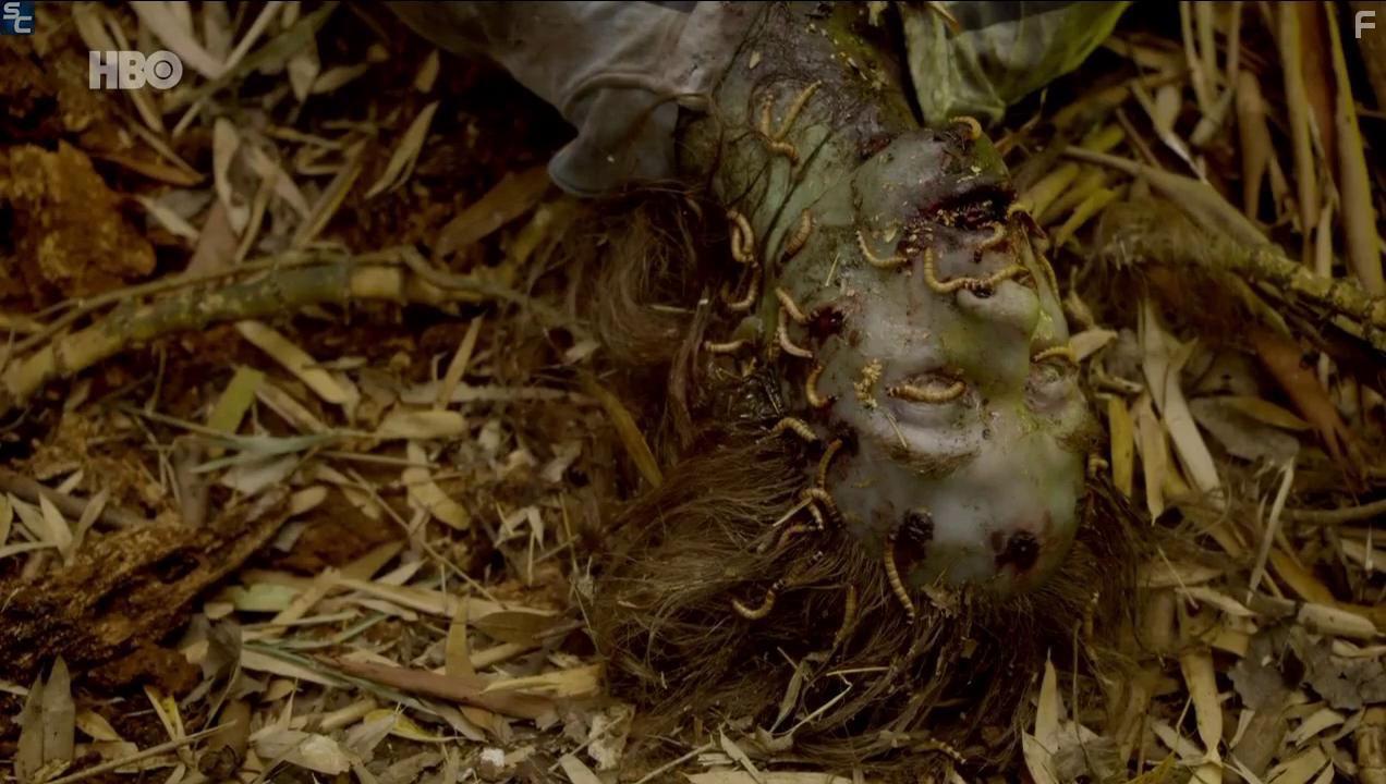 El Jardn de Bronce (2017)