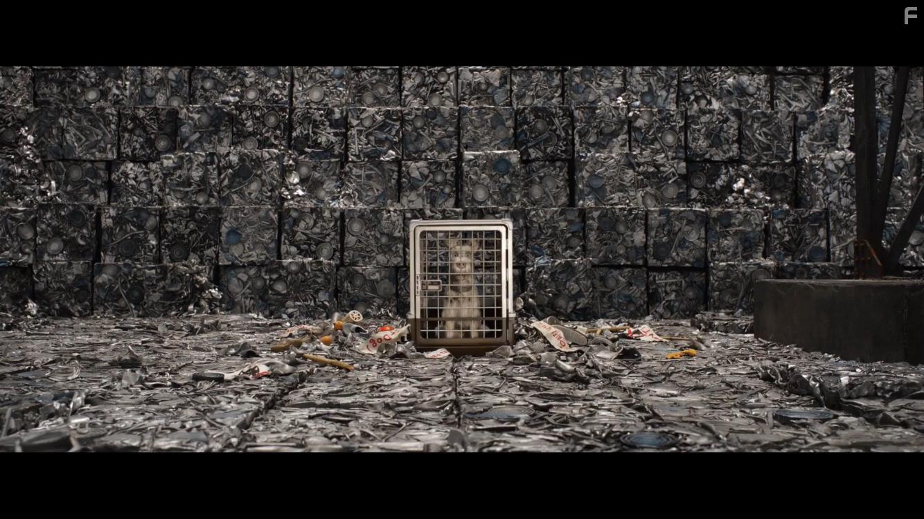 Собачий остров