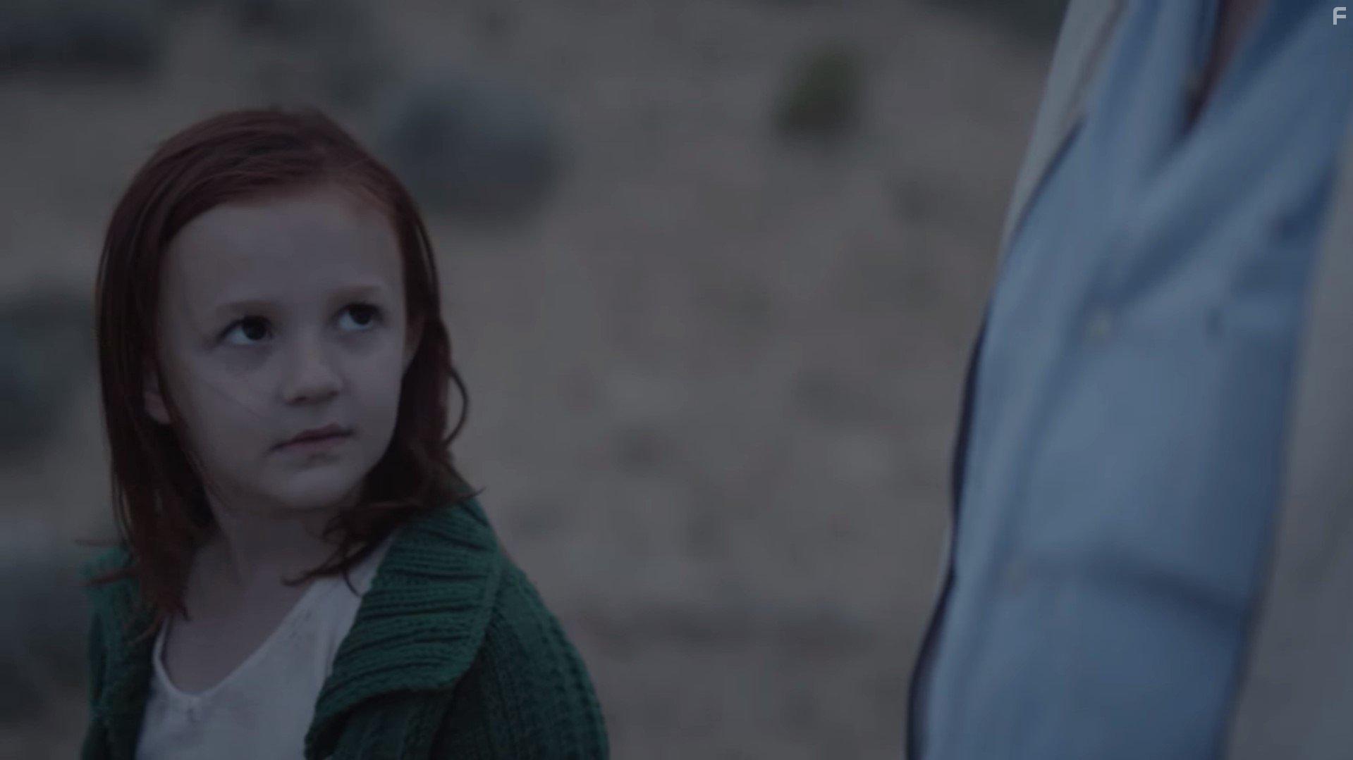 The Glass Castle (2017)