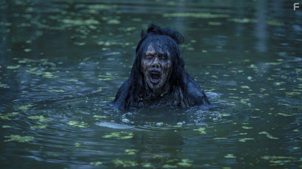 Gao geung jing dou fu (2017)