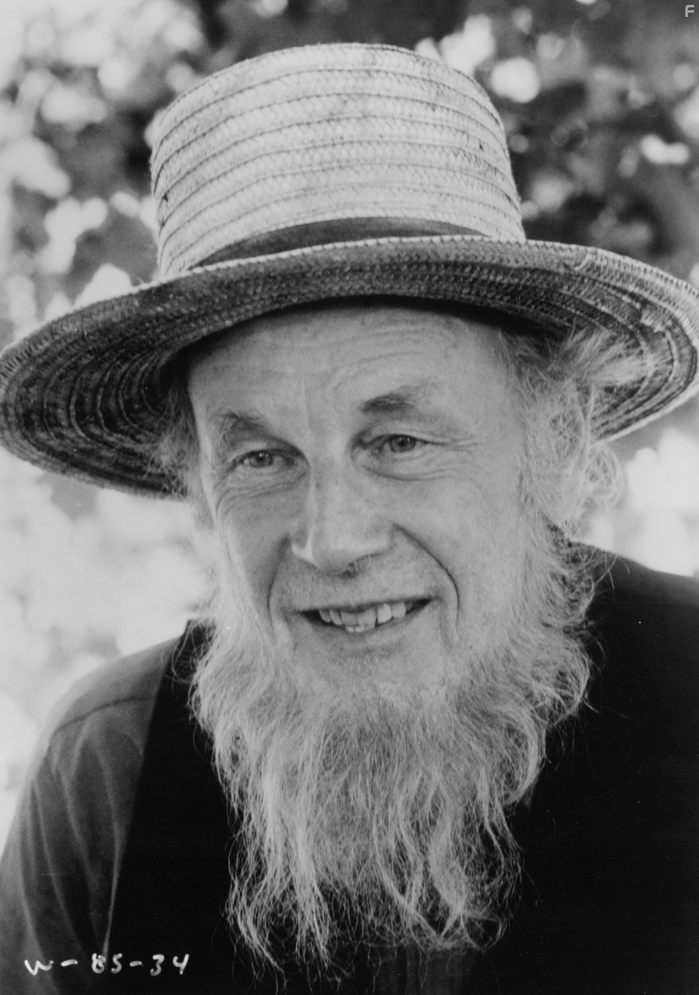 Свидетель (1985)