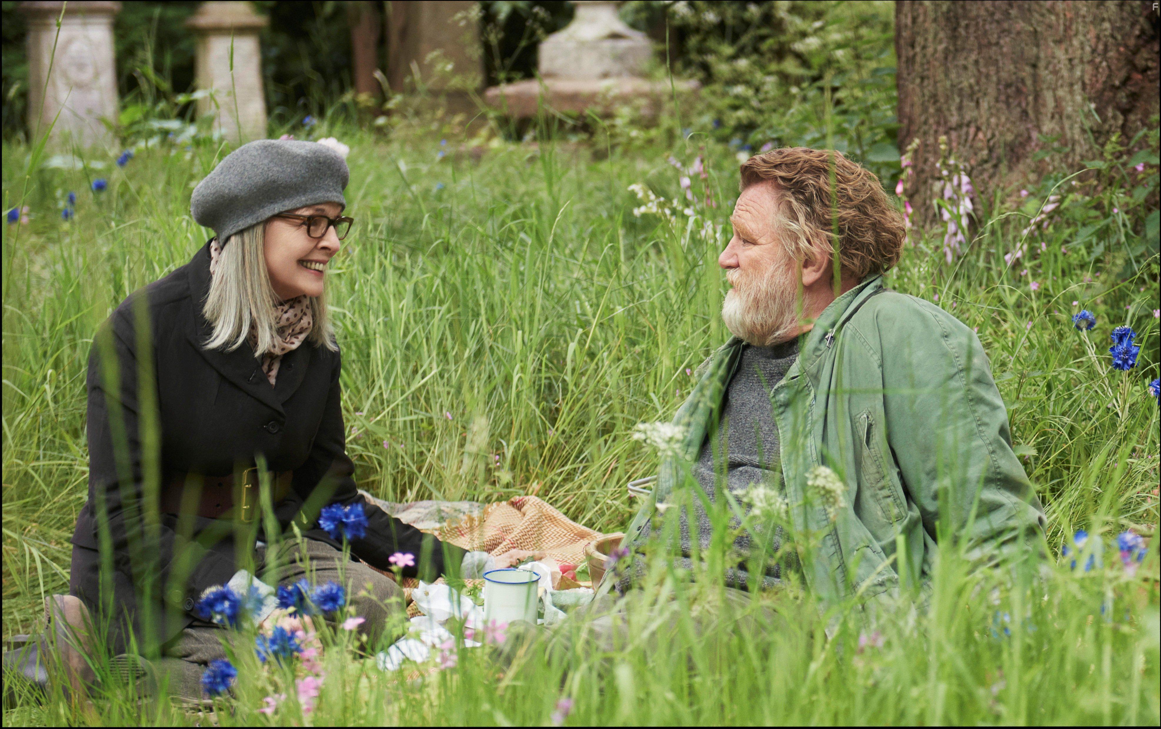 Diane Keaton and Brendan Gleeson in Hampstead (2017)