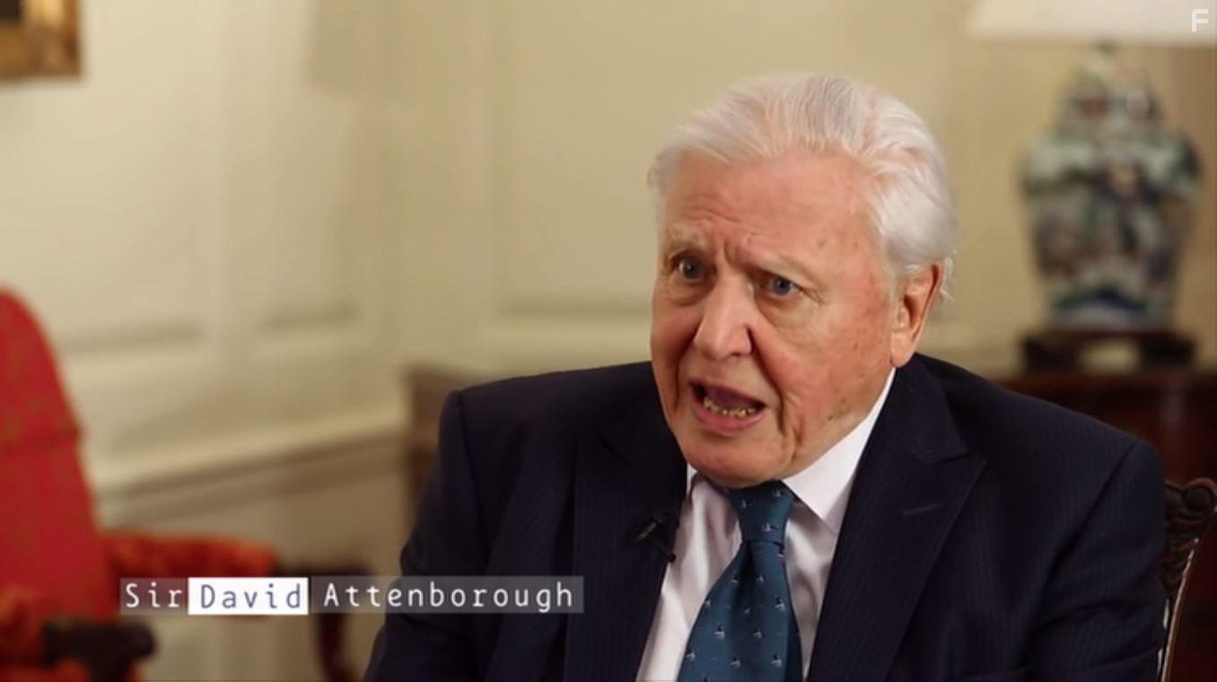 A Plastic Ocean (2016)