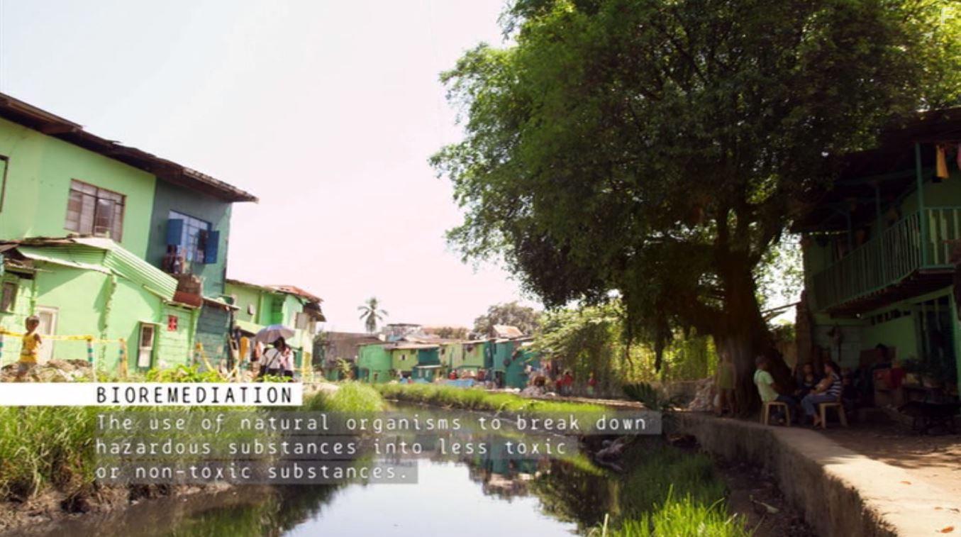 A Plastic Ocean (2016)