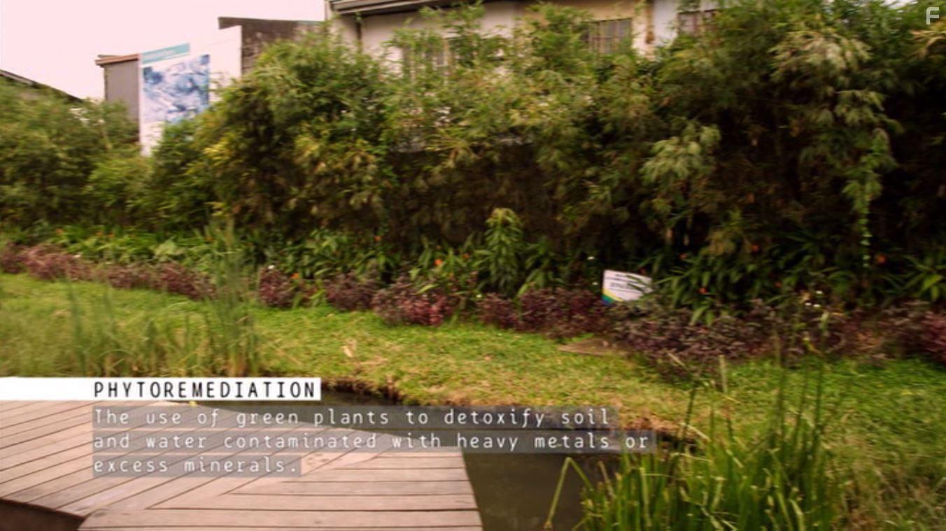 A Plastic Ocean (2016)