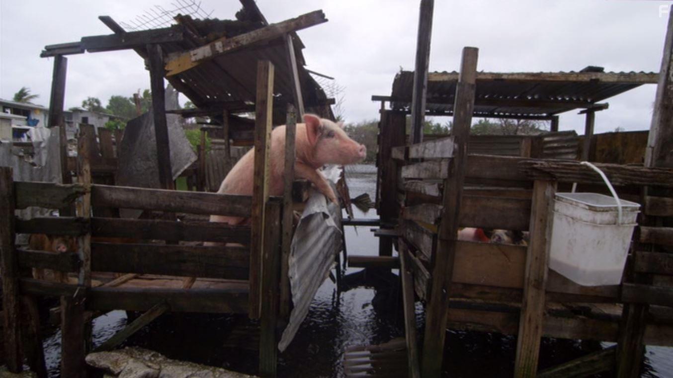 A Plastic Ocean (2016)