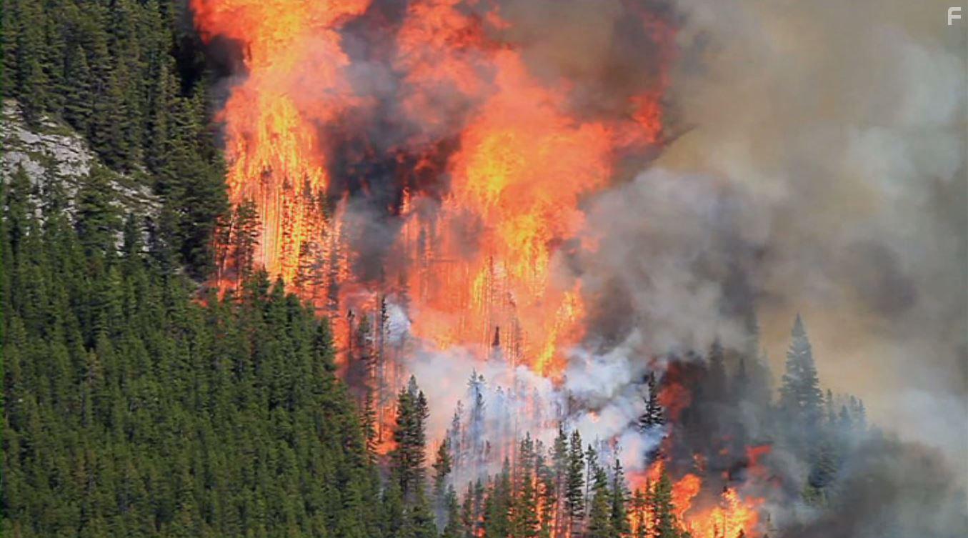 PlantPure Nation (2015)