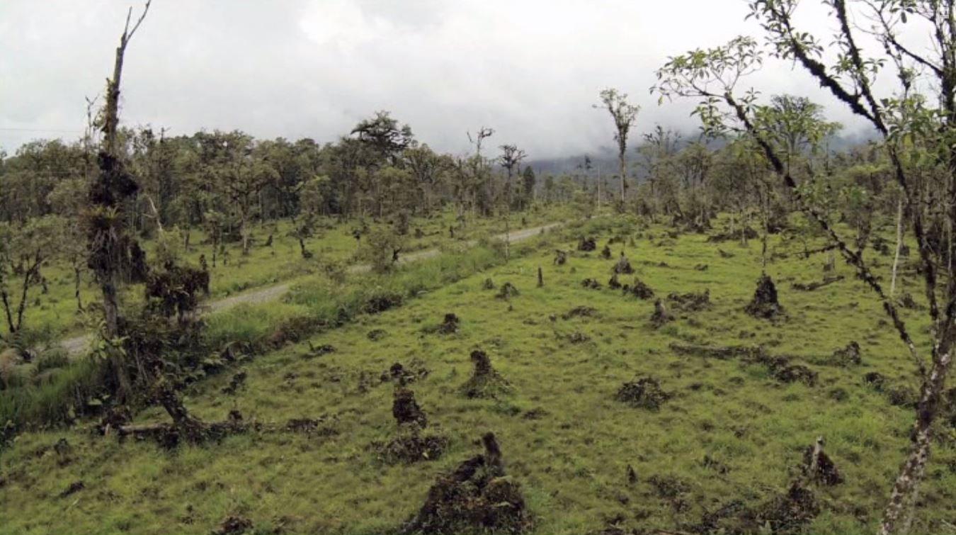 PlantPure Nation (2015)