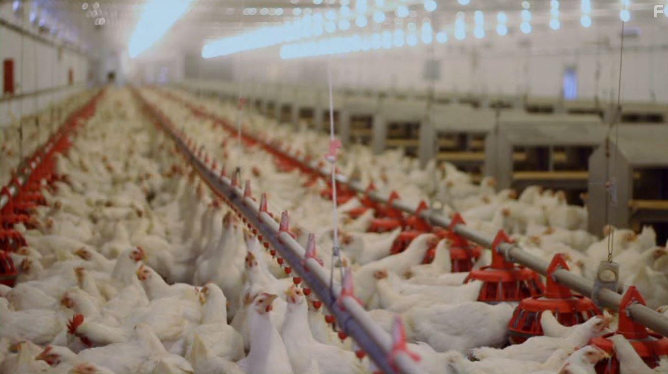 PlantPure Nation (2015)