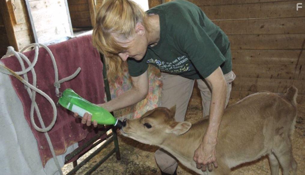 Peaceable Kingdom: The Journey Home (2009)